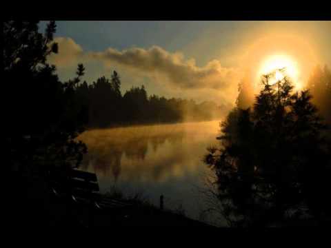 Anthologic - Free Your Mind