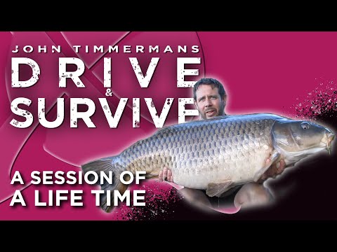 A SESSION OF A LIFETIME | JOHN TIMMERMANS | DRIVE AND SURVIVE
