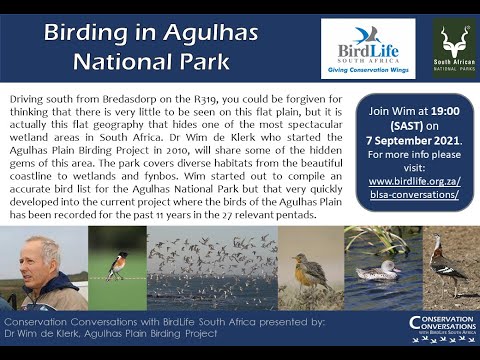 Conservation Conversations: Birding in the Agulhas National Park and surrounds - Dr Wim de Klerk