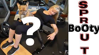 You might waste  your money by listening to most reviews about this gym equipment / BOOTY SPROUT