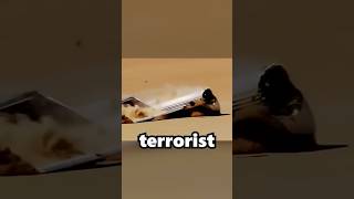 Download lagu Why This Airplane CRASHED on PURPOSE?! mp3 Download lagu Why This Airplane CRASHED on PURPOSE?! mp3