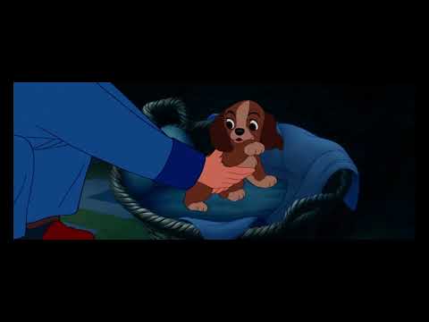 Lady and the Tramp (1955) - Beginning  [UHD]