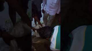 Download lagu Daldali pachir band big 🎏 mp3