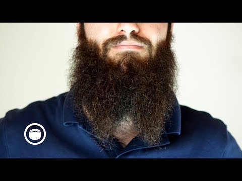 download lagu mp3 mp4 Split Beard, download lagu Split Beard gratis, unduh video klip Split Beard