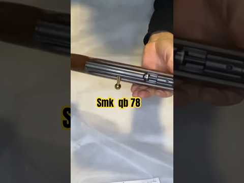 Beeman QB78 .22 Air Rifle - First Impressions