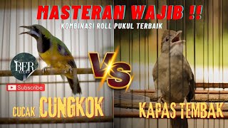 Download lagu CUCAK CUNGKOK VS KAPAS TEMBAK GACOR !! KOMBINASI ISIAN WAJIB #cucakcungkokgacor #kapastembak mp3