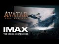 Avatar Fire Ash The IMAX 3D Experience