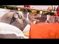 FULL FUNERAL VIDEO KALAIGNAR S FINAL JOURNEY RIPKalaignar Kalaignar