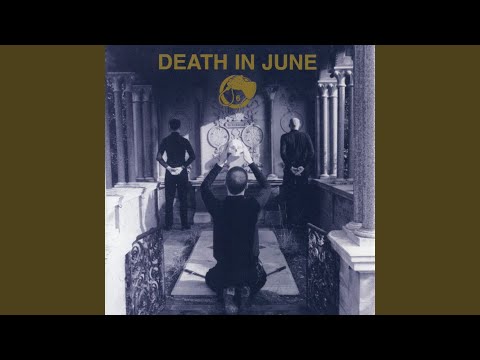 Behind the Rose (Fields of Rape)