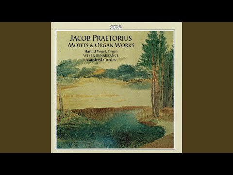 Surge propera à 5 (1)