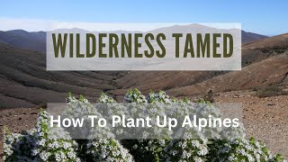 How To Plant Up Alpines