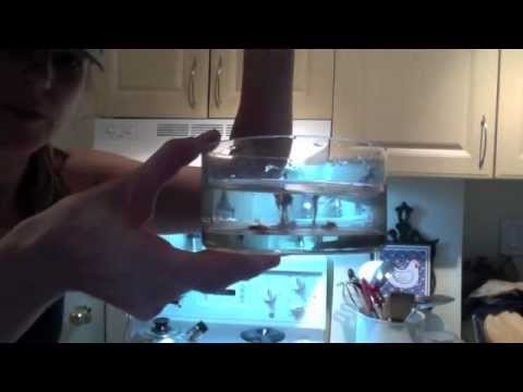 How to Make Old Fashioned Fudge: A Jock's Guide Ep.1