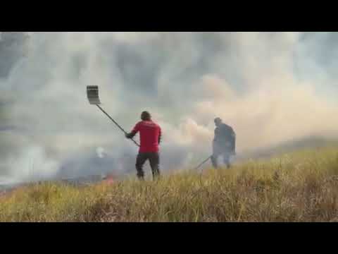 Bombeiros e Brigadistas convém às queimadas no entorno da cidade de Manicoré, no sul do Amazonas  