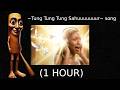 Tung Tung Tung SAHUUUUUUUUUUUUUUUUR 1 HOUR LOOP