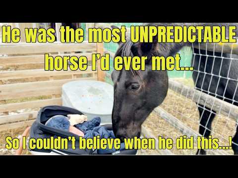 He was an untouchable little rescue&I never could’ve prepared myself for what was about to happen…!