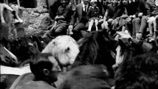 Julian Casablancas+The Voidz - Father Electricity (Official Lyric Film by Jorge M. Fontana)