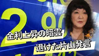 【日経ヴェリタス マーケット一目瞭然】 雨のち晴　金利上昇の暗雲退けた片山発言
