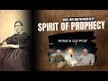 Spirit Of Prophecy What Why And For When Is It 149 WUP Walter Veith Martin Smith