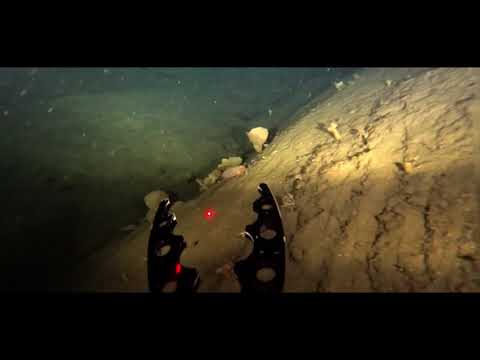 Exploring the deepwaters of Skjerstadfjorden