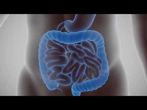 PREČO Zinobiotic od Zinzina?