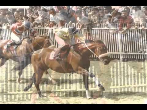 Mauritian horseracing legends   old is gold!!!