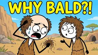 Why Evolution Made Men Bald (You thought you Knew The Right Answer)