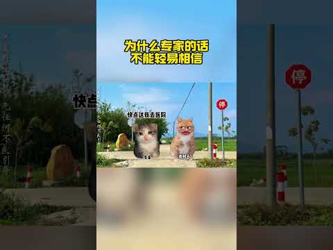 血清放省里，毒蛇放村里？#猫meme小剧场 #猫meme #搞笑 #现实讽刺 #专家