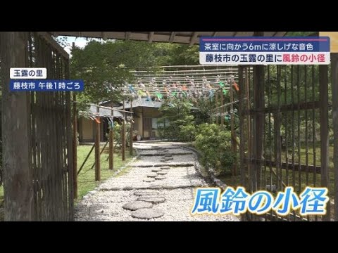 YouTube Video 200個もの風鈴が玉露茶を味わう茶室に向かう6メートルの石畳に 玉露の里に「風鈴の小径」を設置 静岡・藤枝市