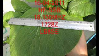 Download lagu HF-SSB-18MHZ,16-04-2011 1728Z LB8SE.wmv mp3