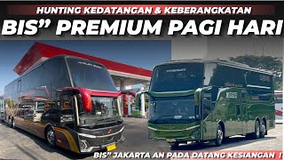 Download lagu BUSES FROM JAKARTA ALL ARRIVE LATE | Hunting Premium Buses in the Morning at Arjosari Terminal mp3