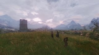 Skyrim Grass and Optimization test