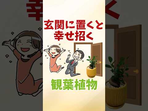 jardin-Feng-Shui plantes feuilles blanches élément Métal