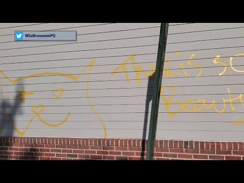 NJ South Brunswick Police Arrest “Mad Cat,” Vandal