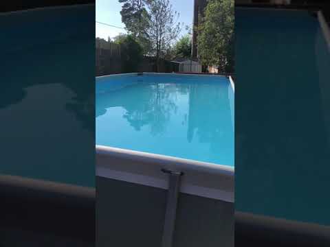 De Waard Vergrote Zilvermeeuw - 100820