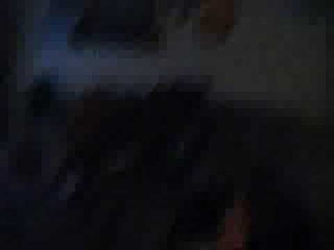 Ally’s Going Away Party