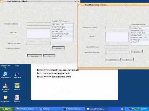 Optimal Client-Server Assignment for Internet Distributed Systems
