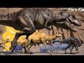 Egypt Animal Stampede Camel Zoo Animal Stampede Cow Dinosaur Stampede Animal Running Animal Stampede