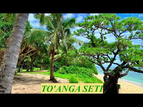 TO'ANGA SETI - PALOLO