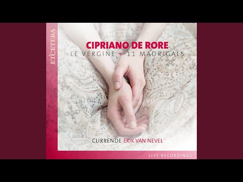 Video thumbnail for Vergine in cui ho tutta mia speranza
