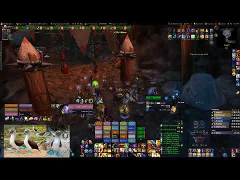 Finishing Black Temple WoW TBCC P3 Protection Paladin PoV