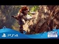 thumbnail: Horizon Zero Dawn (PlayStation 4)