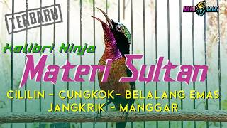 Download lagu MASTERAN KONIN GACOR FULL MATERI PILIHAN - KOLIBRI NINJA NEMBAK ISIAN MEWAH mp3 Download lagu MASTERAN KONIN GACOR FULL MATERI PILIHAN - KOLIBRI NINJA NEMBAK ISIAN MEWAH mp3