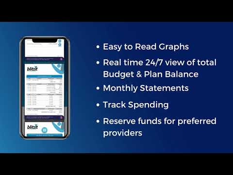 Blitzit Plan Manager