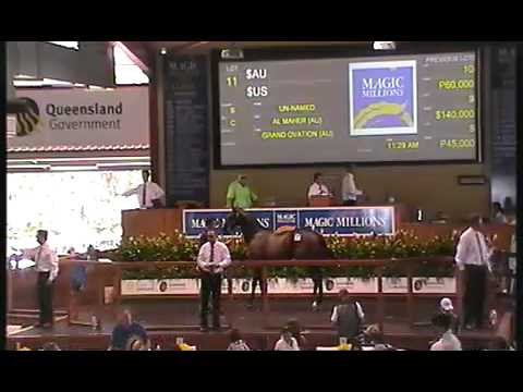 2012 Gold Coast Yearling Sale Lots 1 - 20