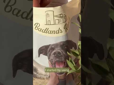 Dog's Health Transformation After Ditching Kibble for Superfood Complete!