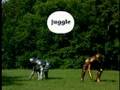 Between The Lions Gawain S Word Juggle