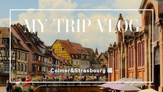 【🇫🇷コルマール&ストラスブール】絵本のような街並みと大聖堂