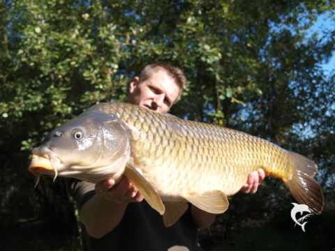 Eine Woche im Herbst