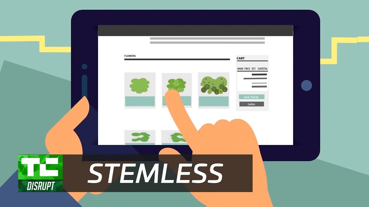 Stemless Online Marijuana Dispensary | Disrupt SF 2017