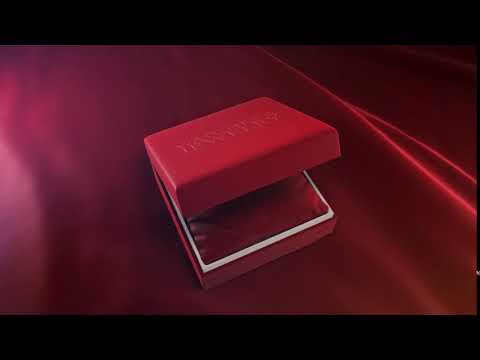 Argjendari Miluna (Logo Animation)